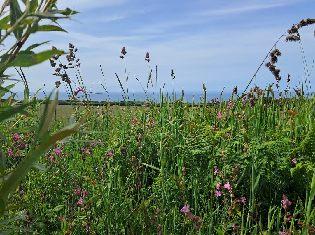 Warcombe Farm Camping Park主图