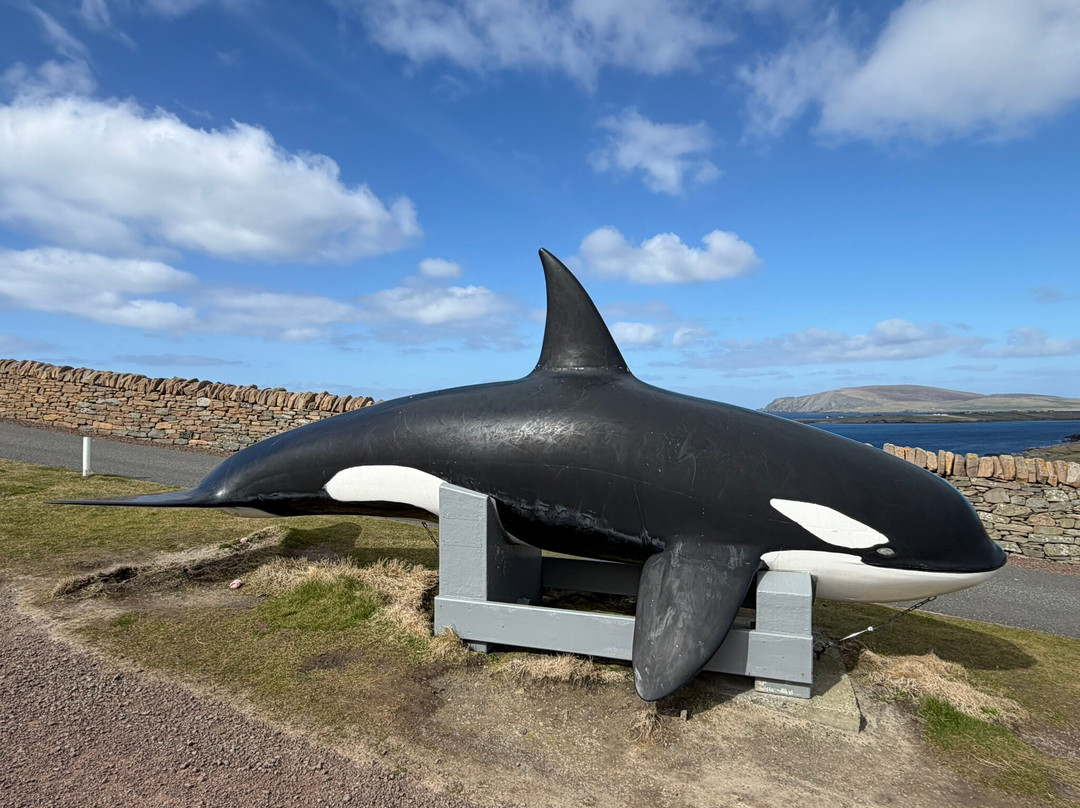 Sumburgh Head Lighthouse-Sumburgh必去景点