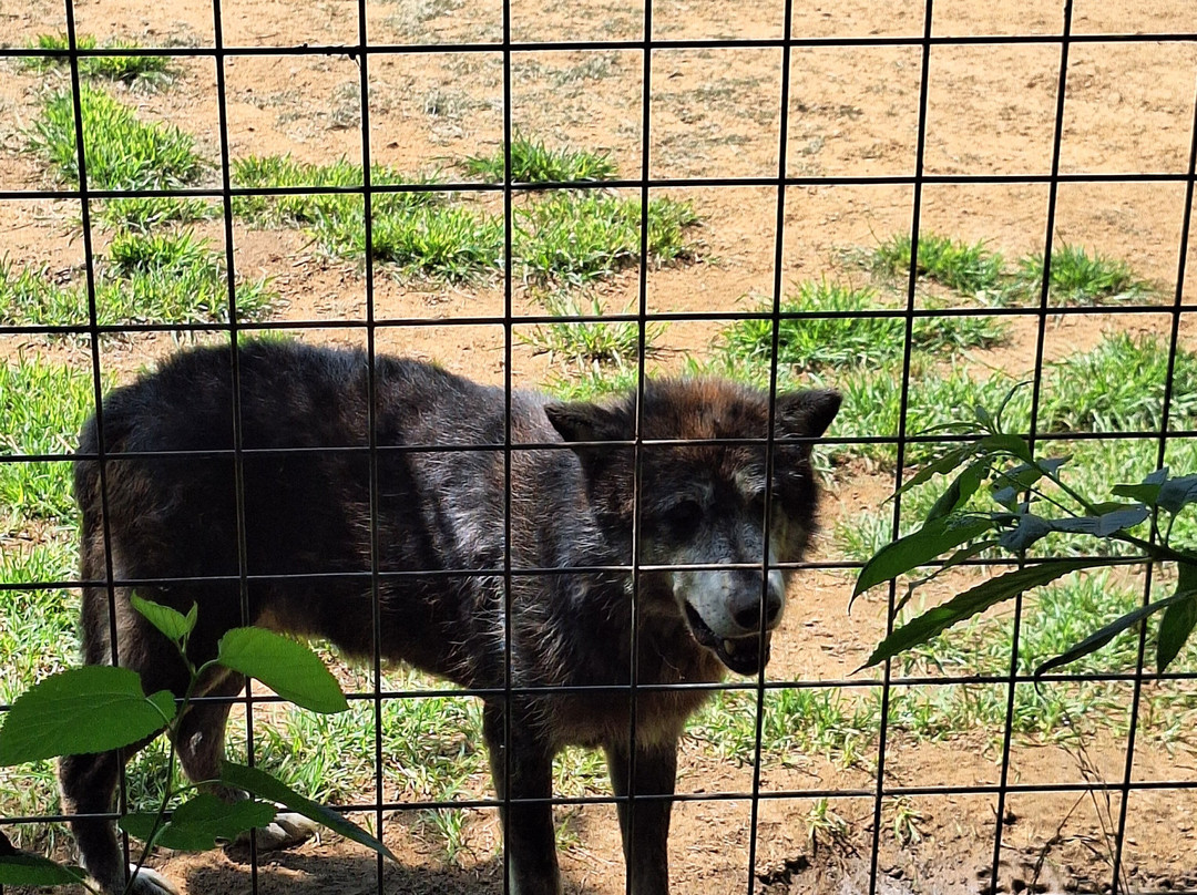 Safari Zoological Park-Caney必去景点
