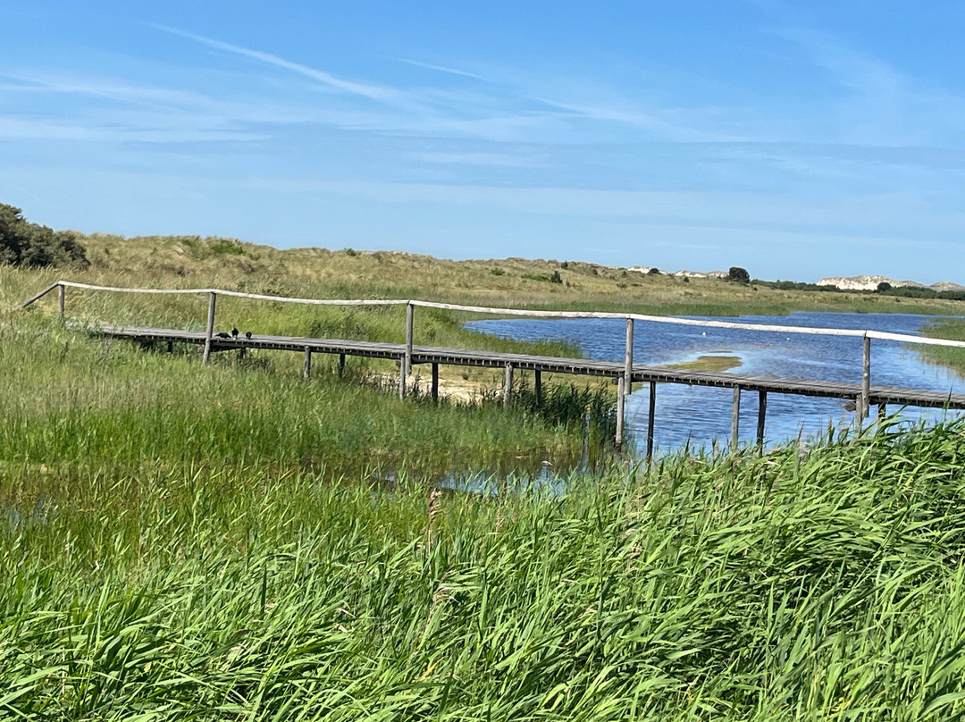 Groene strand-West-Terschelling必去景点