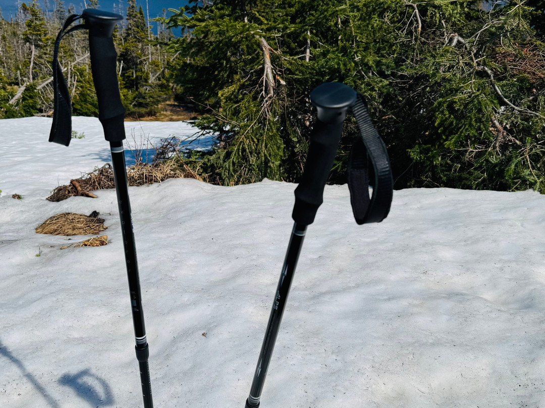 Lookout Hills Trail-Woody Point必去景点