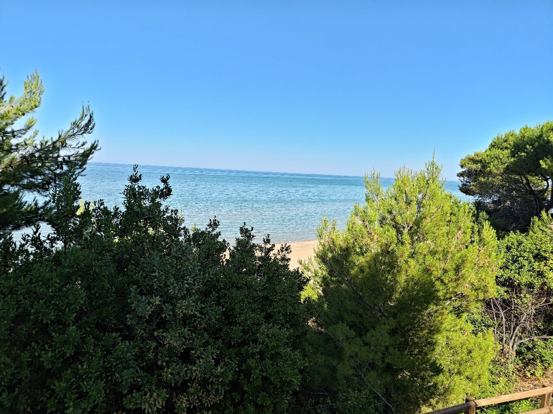 Area Marina Protetta Torre del Cerrano-Pineto必去景点