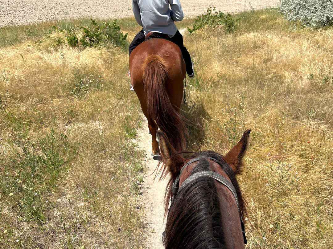 Cappadocia Horse Ranch-内夫谢希尔必去景点