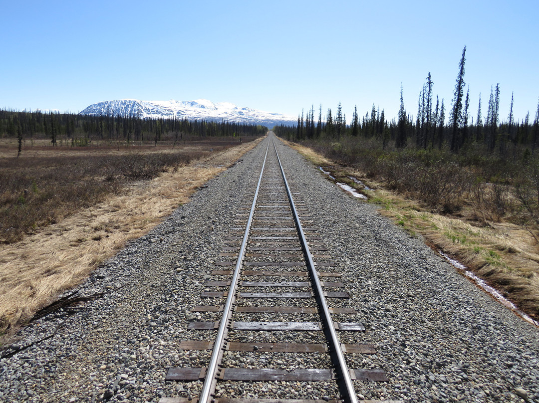 Denali Star Train-德纳利国家公园和自然保护区必去景点