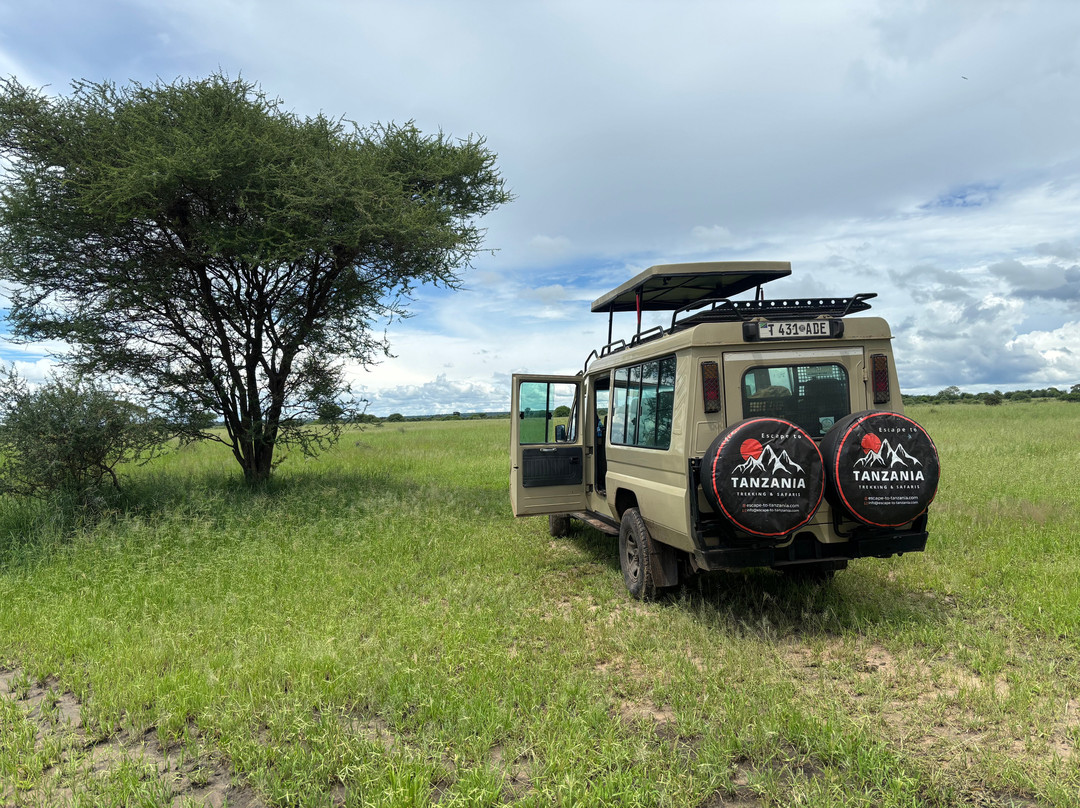 Escape To Tanzania Trekking & Safaris-莫西必去景点