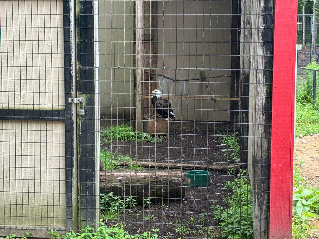 Indian Creek Zoo-Lambertville必去景点