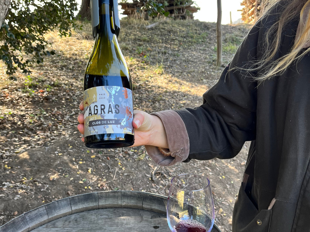 Clos de Luz-Pichidegua必去景点