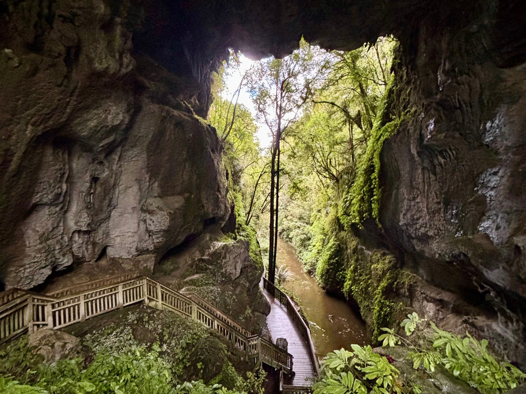 Mangapohue Natural Bridge Walk-怀托摩洞穴必去景点