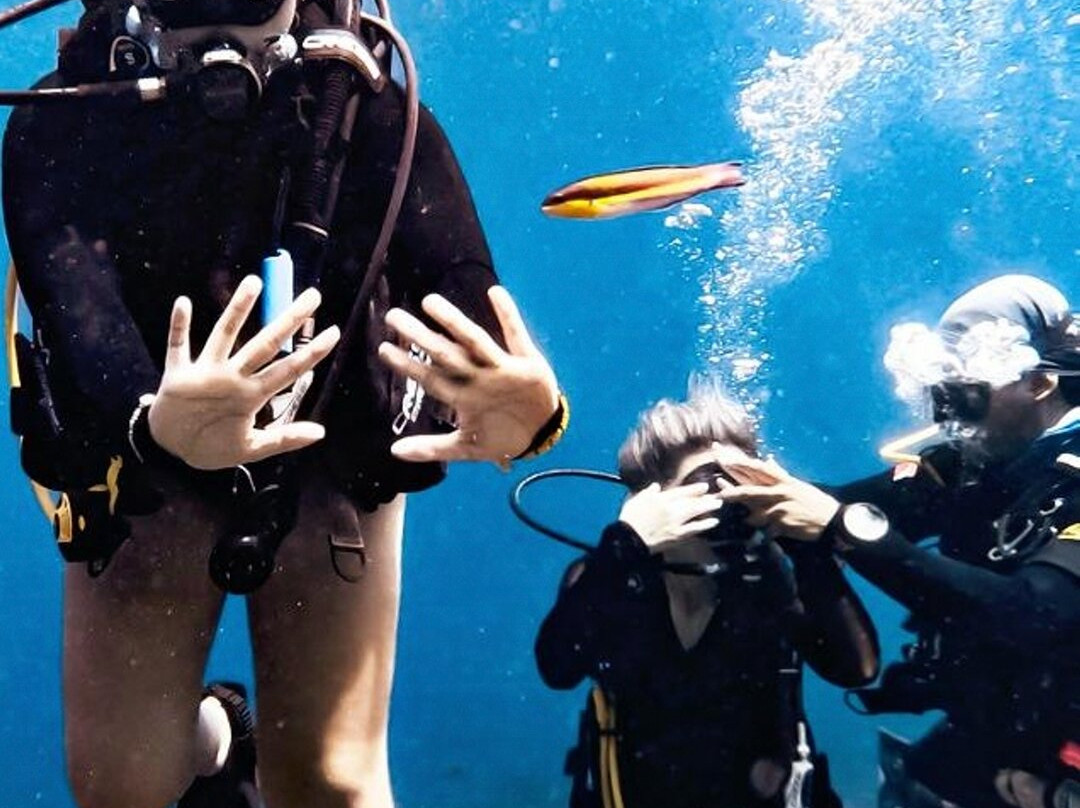 Sealion Dive Center-Los Mochis必去景点