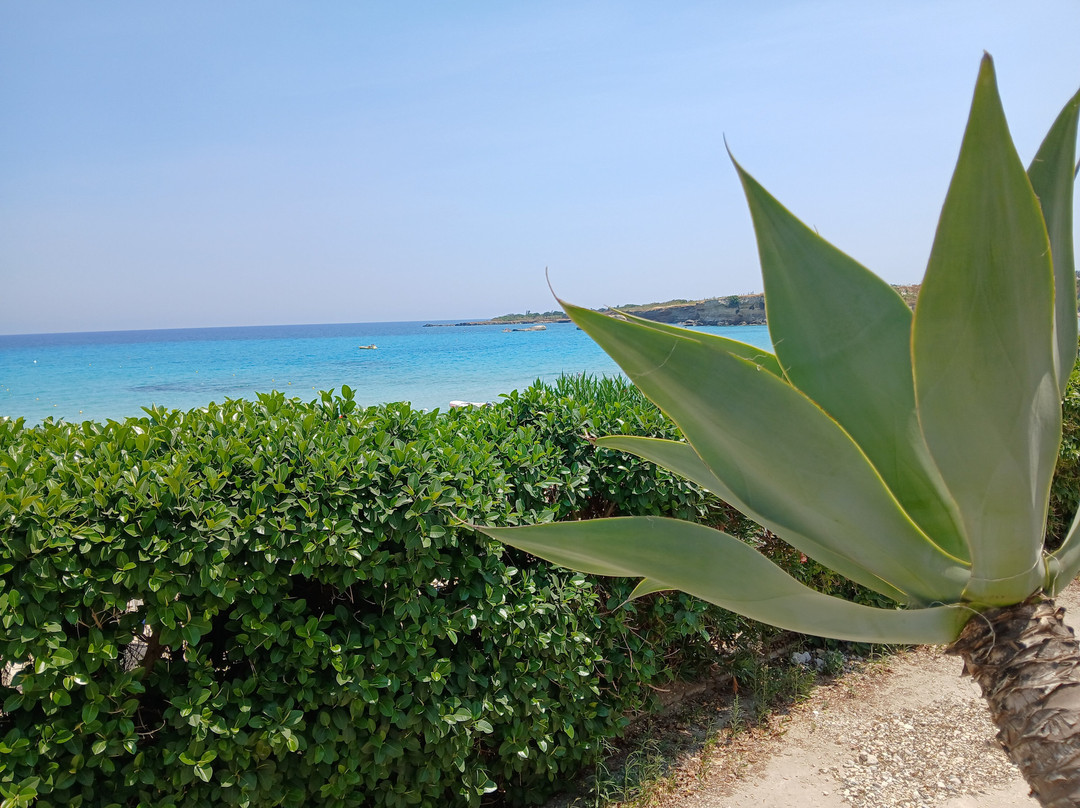 Hotel Fontane Bianche Beach Club主图