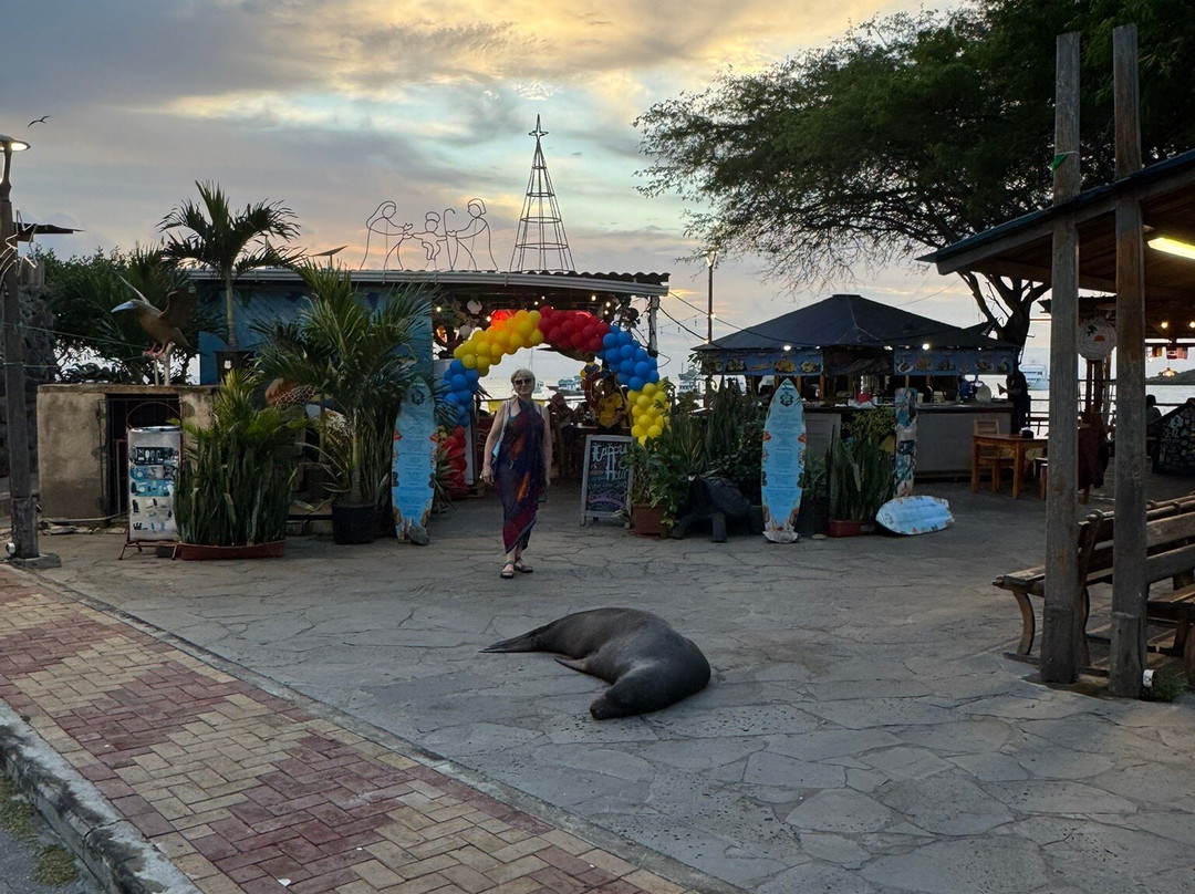 Malecón San Cristobal-圣克里斯托瓦尔必去景点