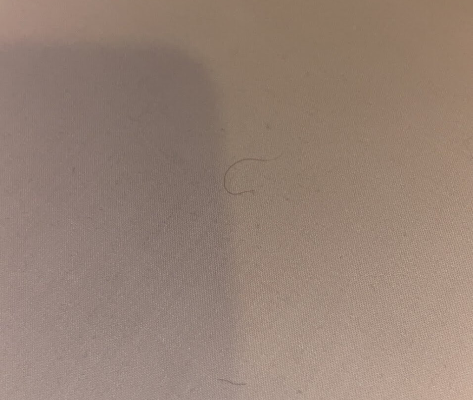 戴尔罗格酒店主图