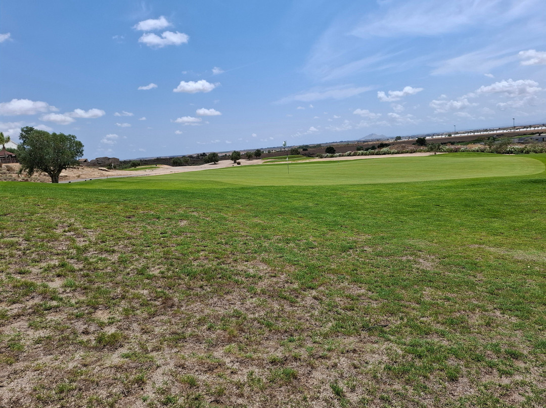 Altaona Golf