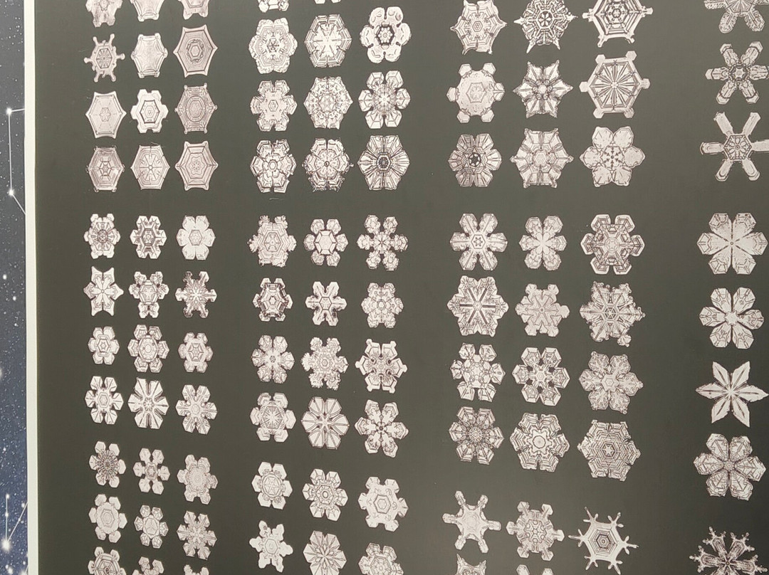 PHENOMENA - Interactive Museum of Science and Art-索非亚必去景点