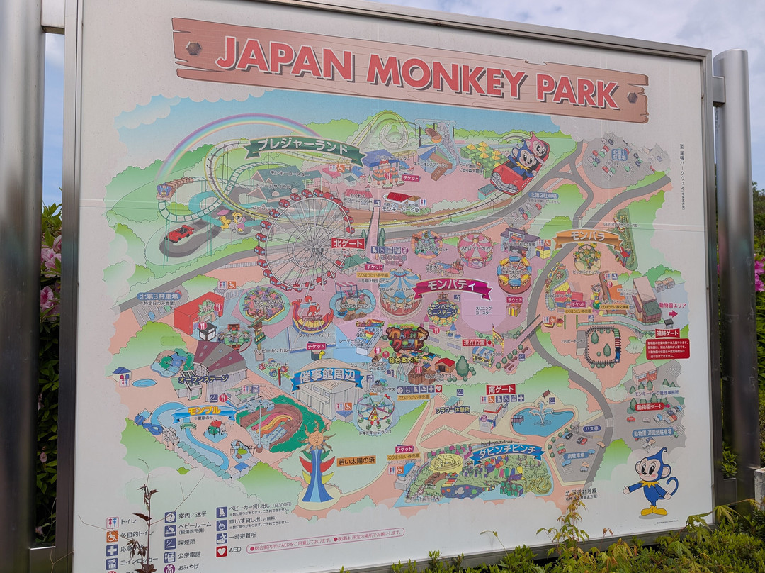 Japan Monkey Park-犬山市必去景点