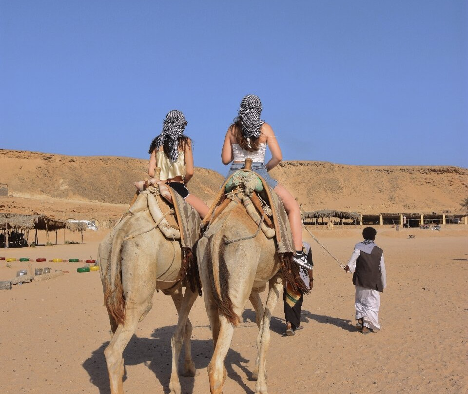 Remal Safari-Hurghada 1必去景点