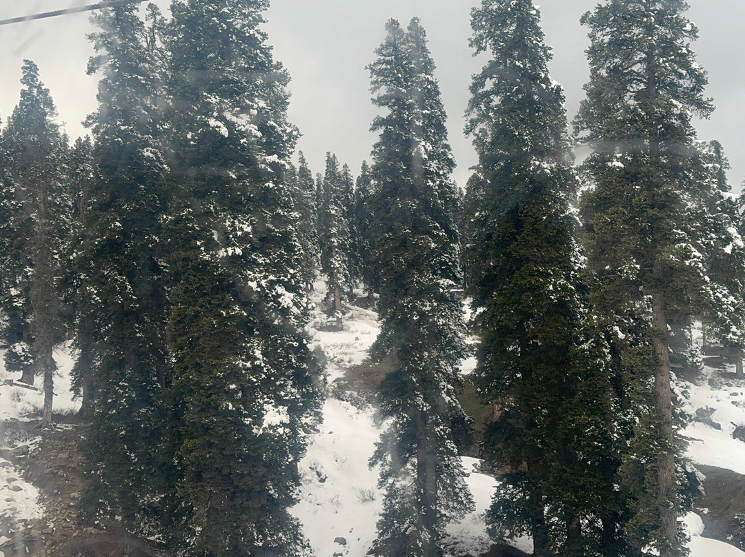 Gulmarg Gondola-贡马必去景点