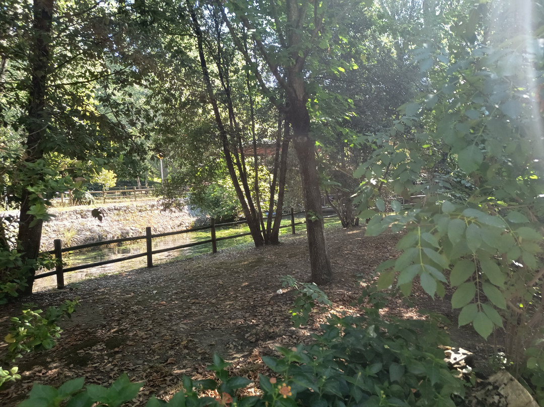 Parco del Grassano-San Salvatore Telesino必去景点