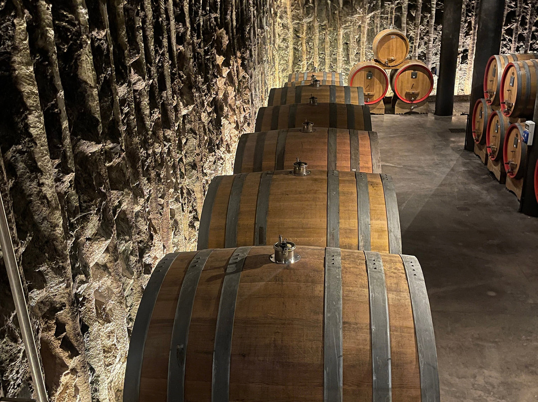 Azienda Agricola Albino Armani 1607-Dolce'必去景点