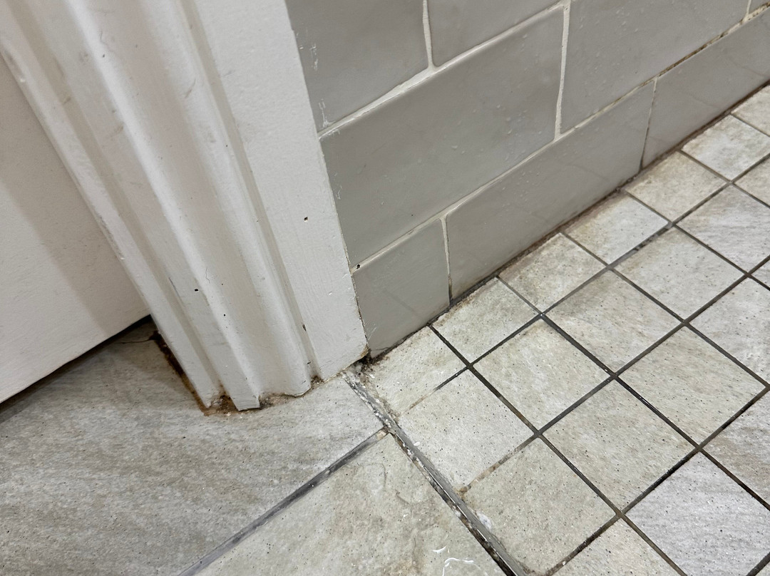 卡什尔小屋酒店主图