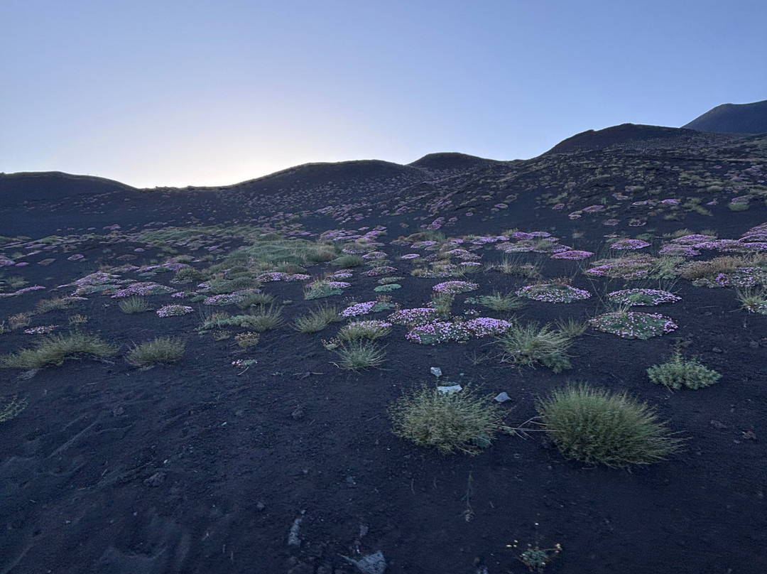Etna Tour Excursion-Zafferana Etnea必去景点