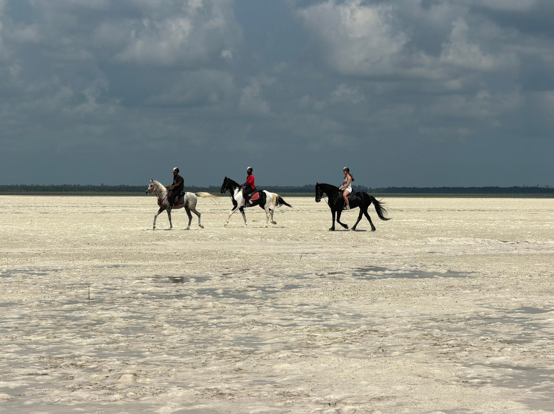 Royal Stable Zanzibar