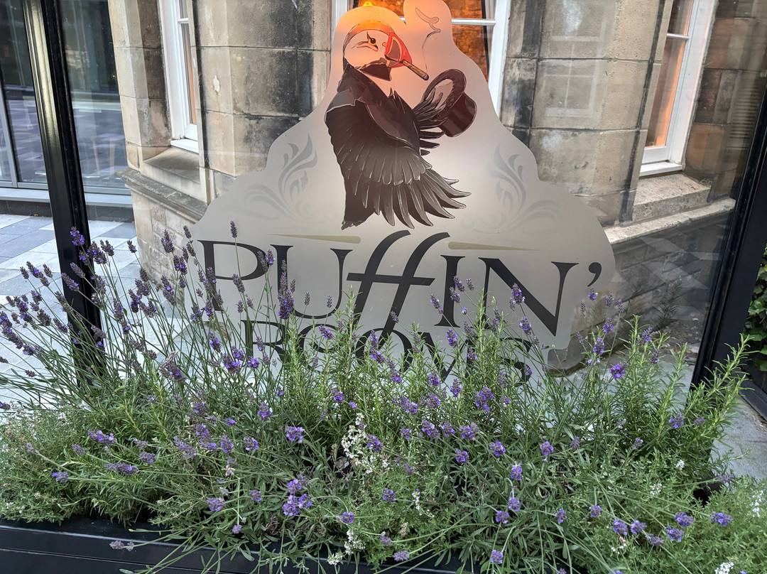 Puffin Rooms' Edinburgh