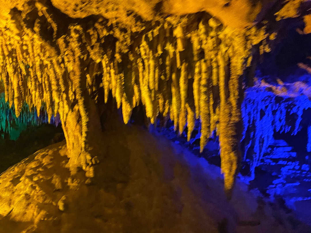 Florida Caverns State Park-Marianna必去景点