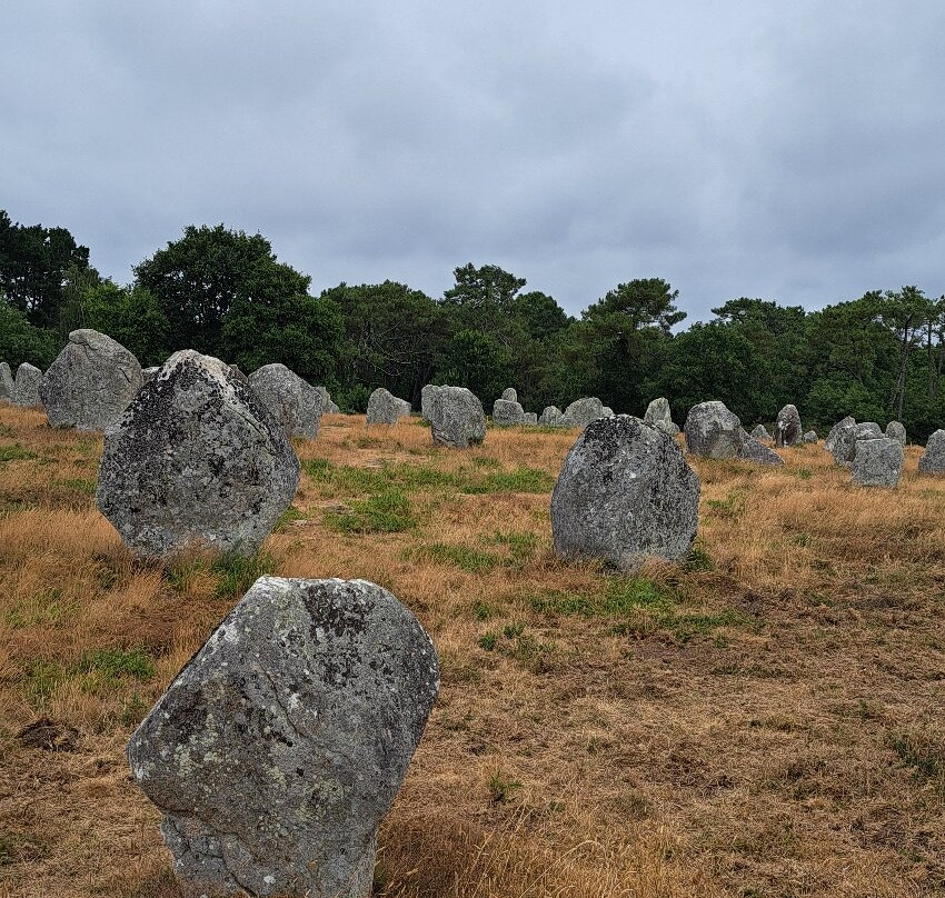 Megaliths of Carnac-卡纳克必去景点