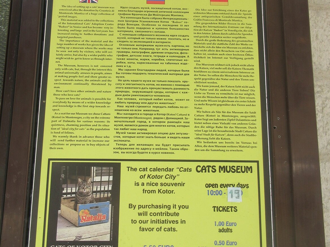Cats Museum-科托尔必去景点