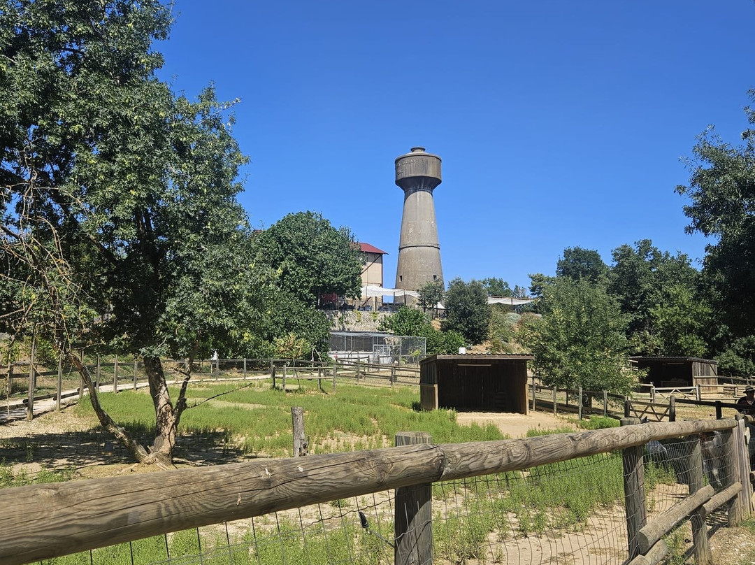 Parc Animalier des Gorges de l'Ardeche-Vagnas必去景点