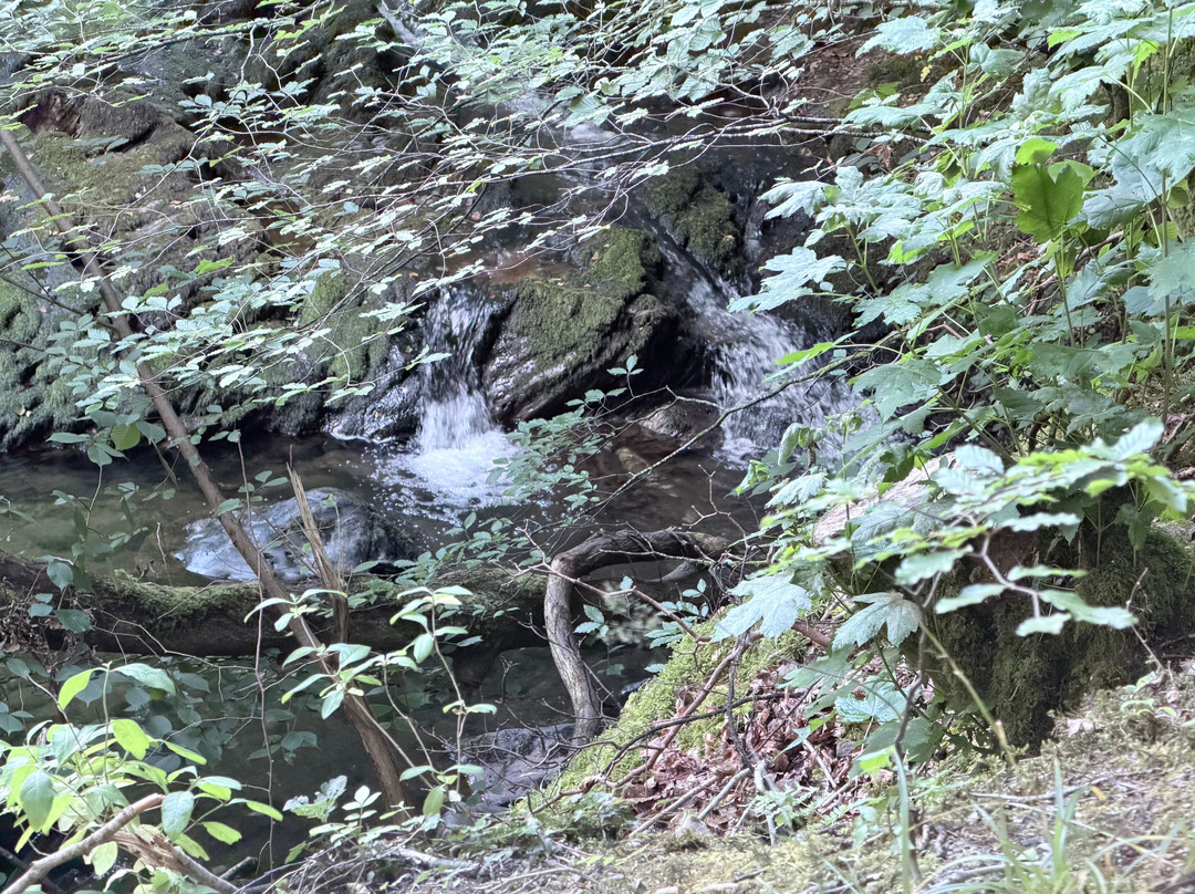 Stock Ghyll Force-安布赛德必去景点