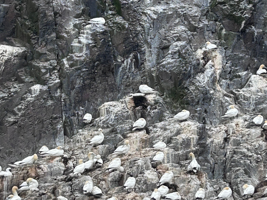 Scottish Seabird Centre-北柏威克必去景点