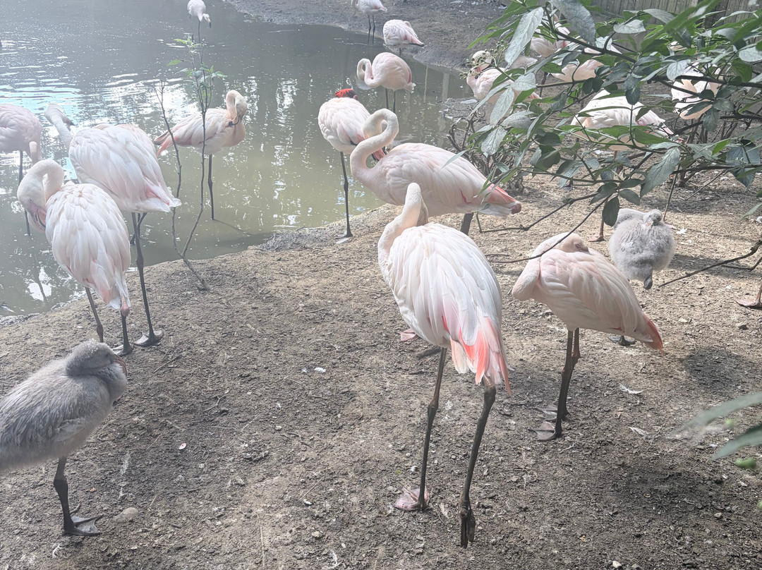 Bridlington Animal Park-布里德灵顿必去景点