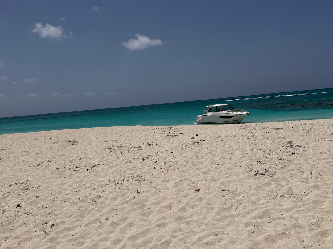 Paradise Luxury Charters-Turtle Cove必去景点