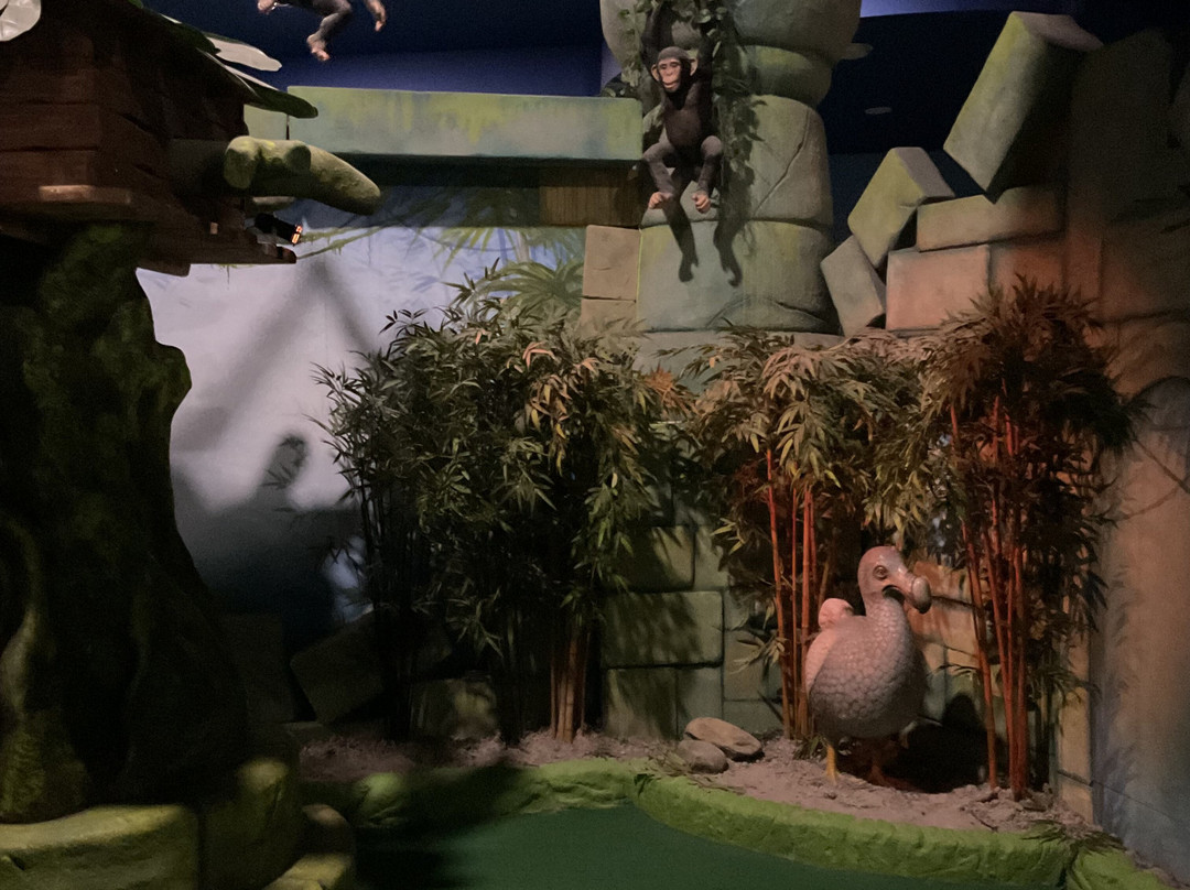 Paradise Island Adventure Golf - Cheshire Oaks-埃尔斯米尔港必去景点