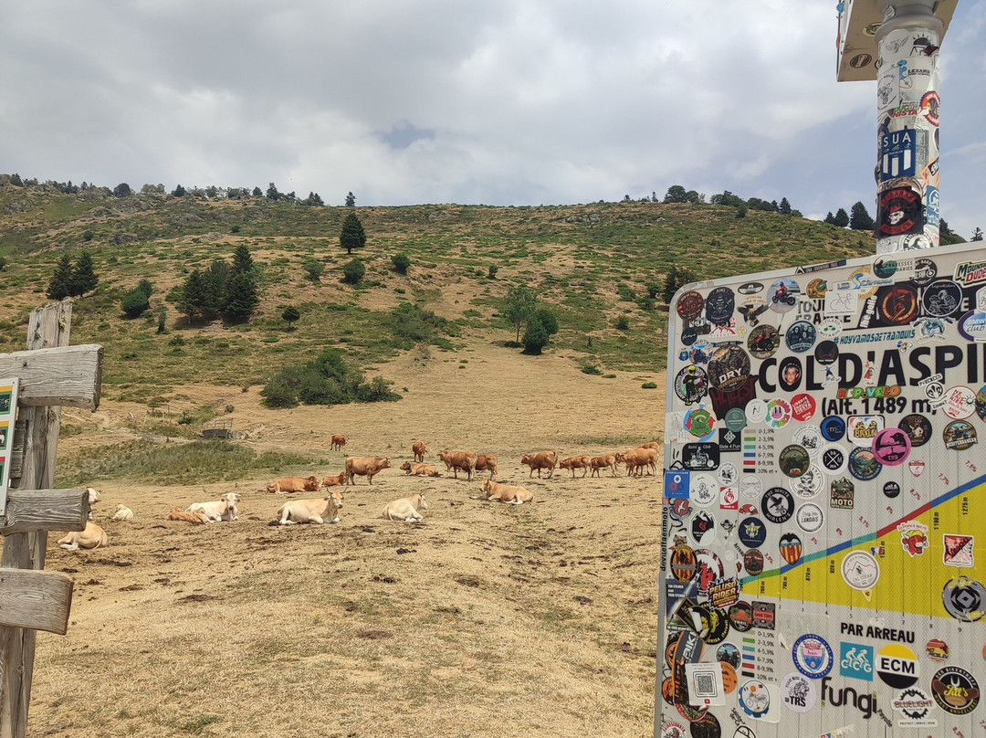 Col d'Aspin-Aspin-Aure必去景点