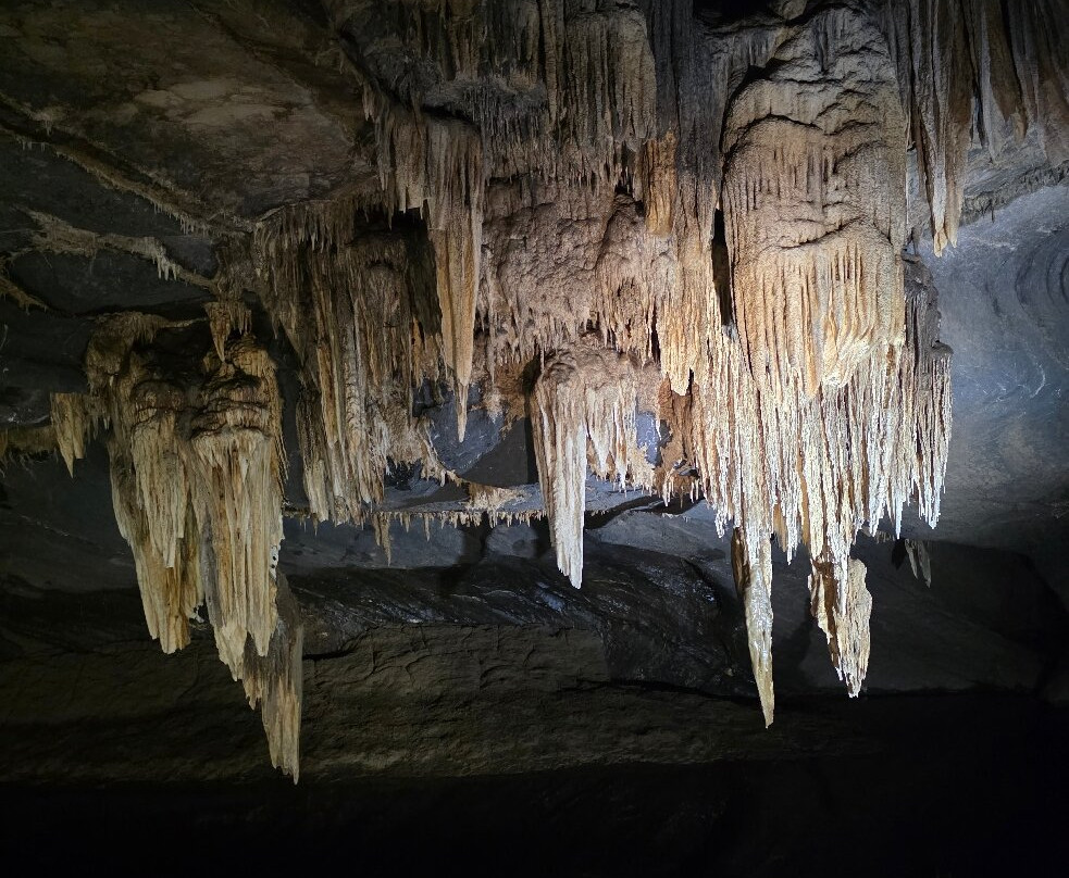 Domaine Des Grottes De Han-Han-sur-Lesse必去景点