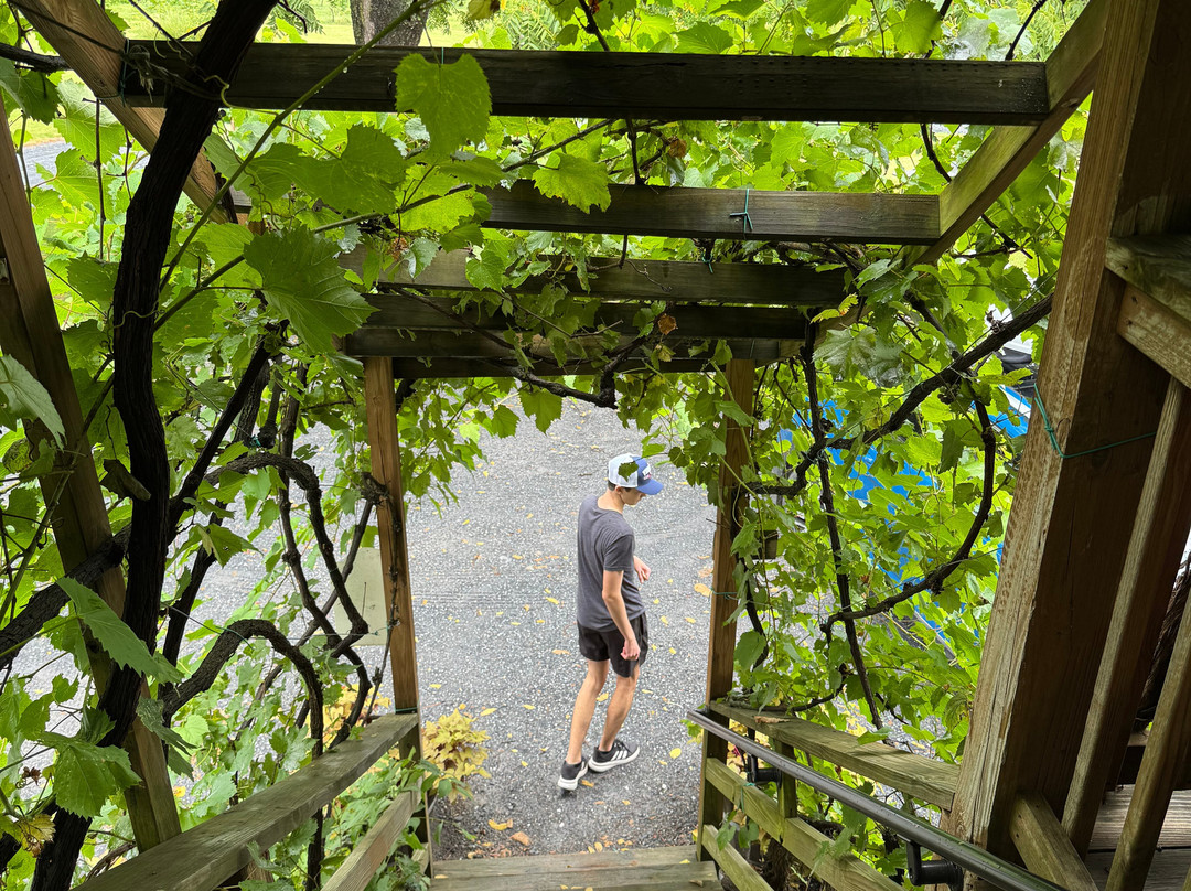 Shenandoah Vineyards-Edinburg必去景点