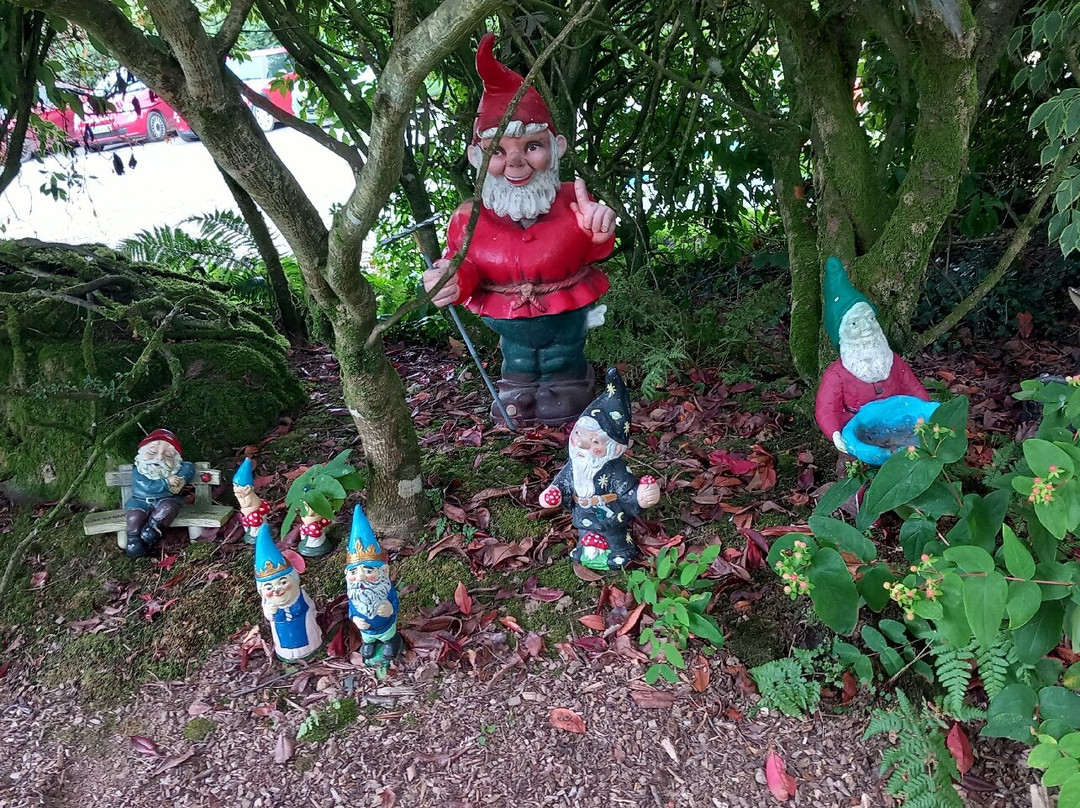 The Gnome Reserve-West Putford必去景点