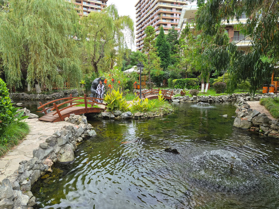 Luxury Dreamland Oasis Apartments