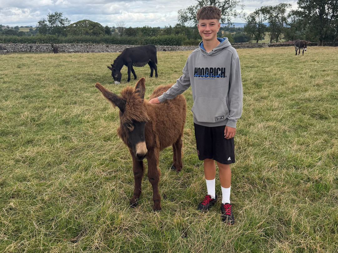 Barnhill Donkeys Retreat Sleagill-Sleagill必去景点