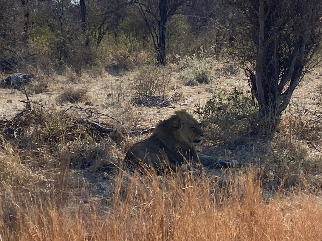 Dusty Foot Tours Namibia-温德和克必去景点