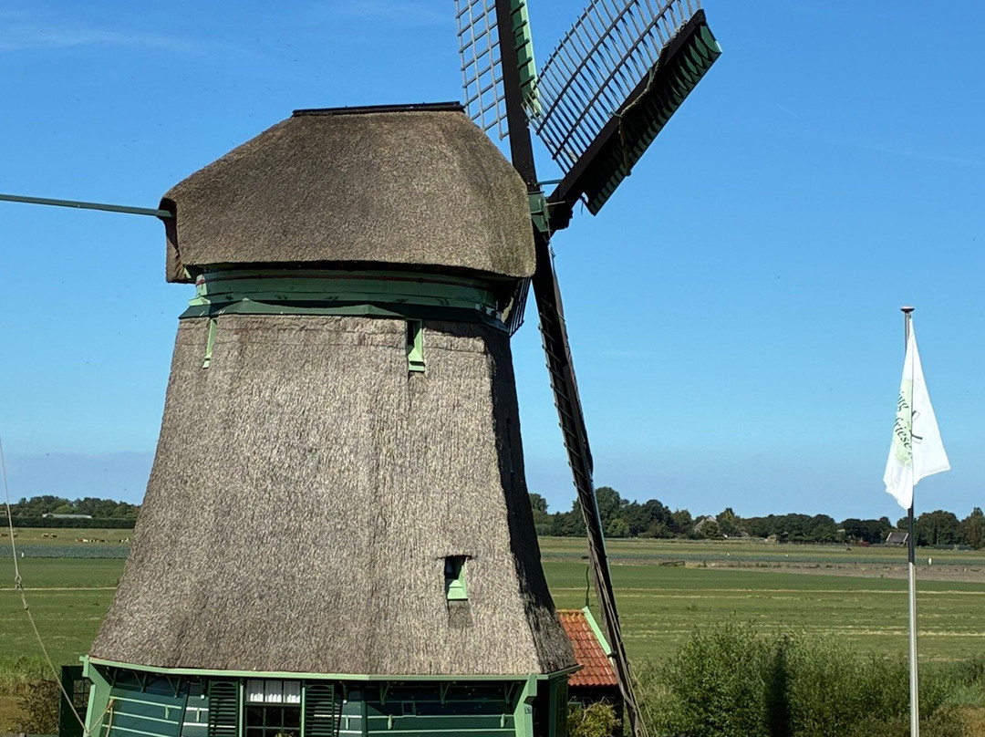 De Grote Molen-Schellinkhout必去景点