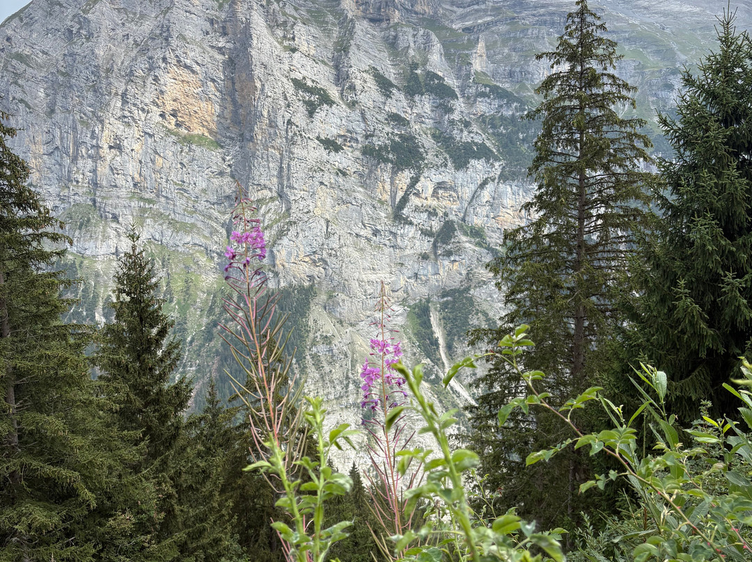 Blumental Panorama Trail-米伦必去景点