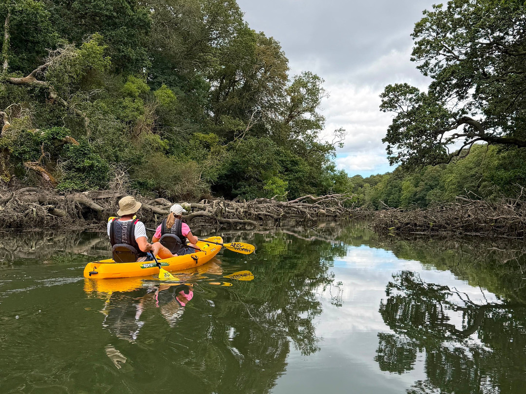 Koru Kayaking-St Agnes必去景点