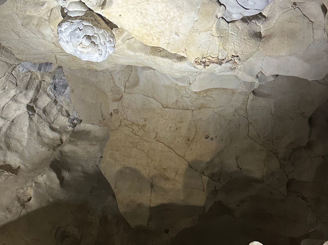 Grottes de Thouzon-Le Thor必去景点