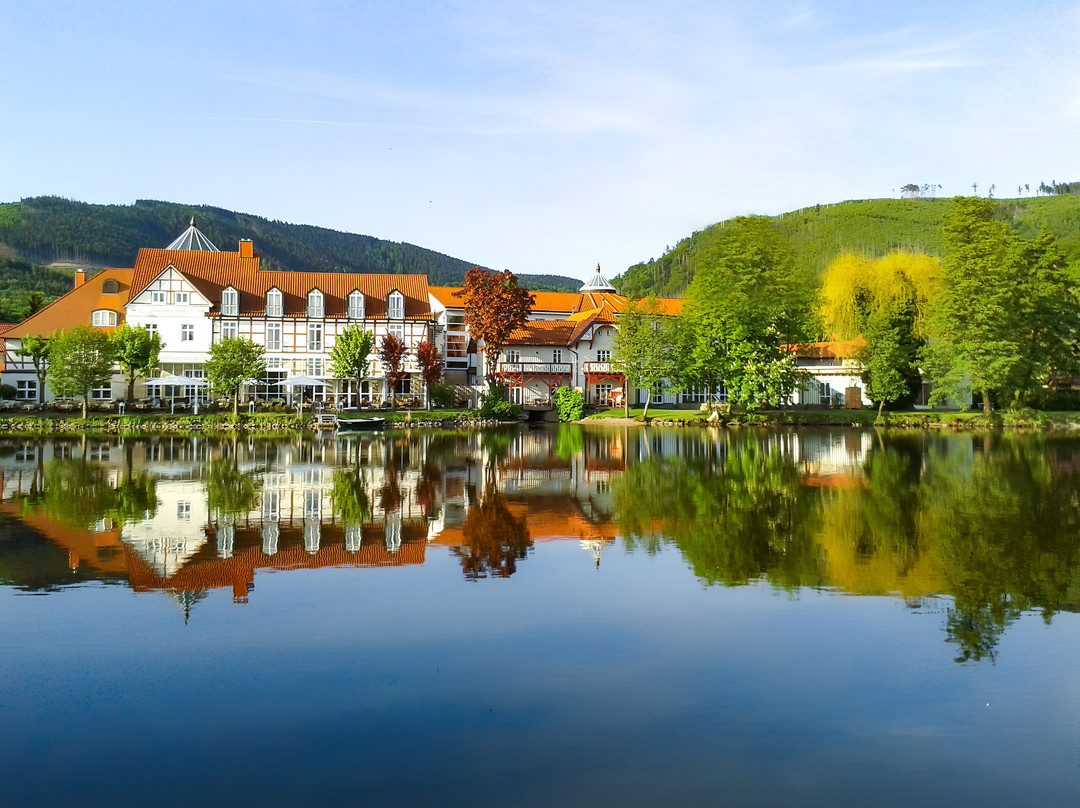 萨克森-安哈特酒店住宿-Landhaus Zu Den Rothen Forellen