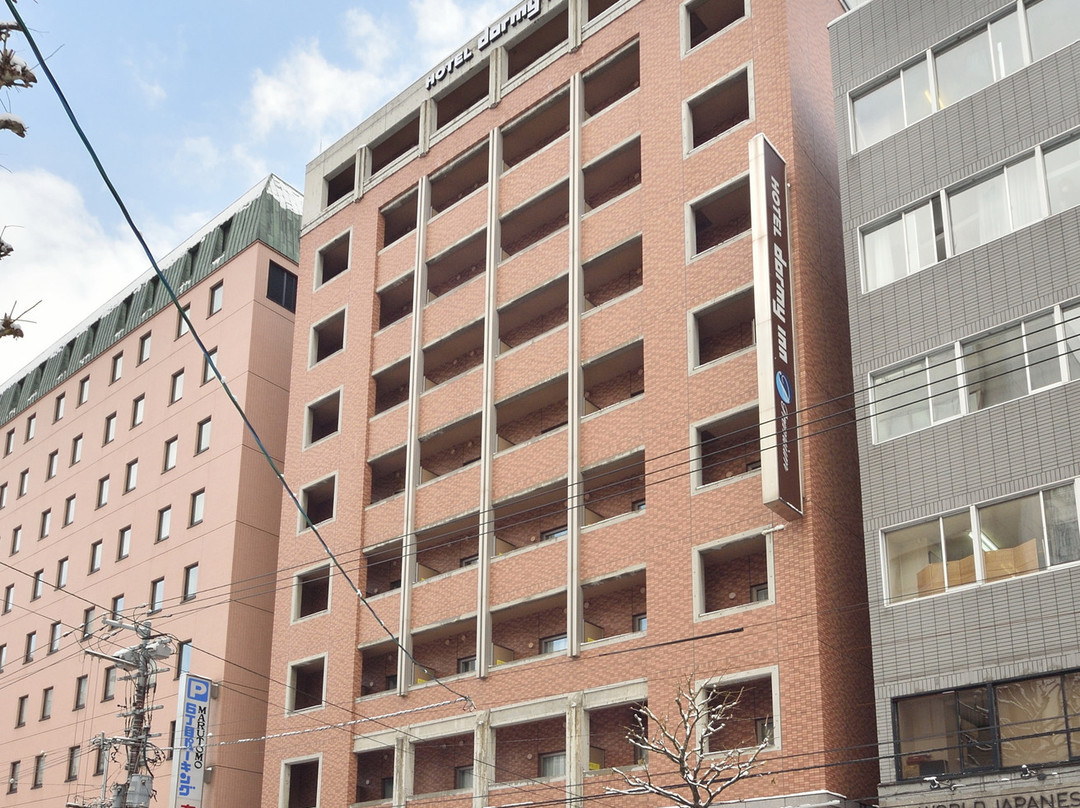 北海道札幌多美迎高级酒店(多美迎・御宿野乃 酒店集团)