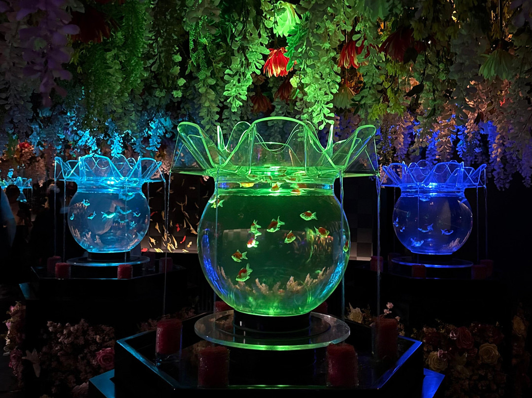Art Aquarium-Ginza必去景点